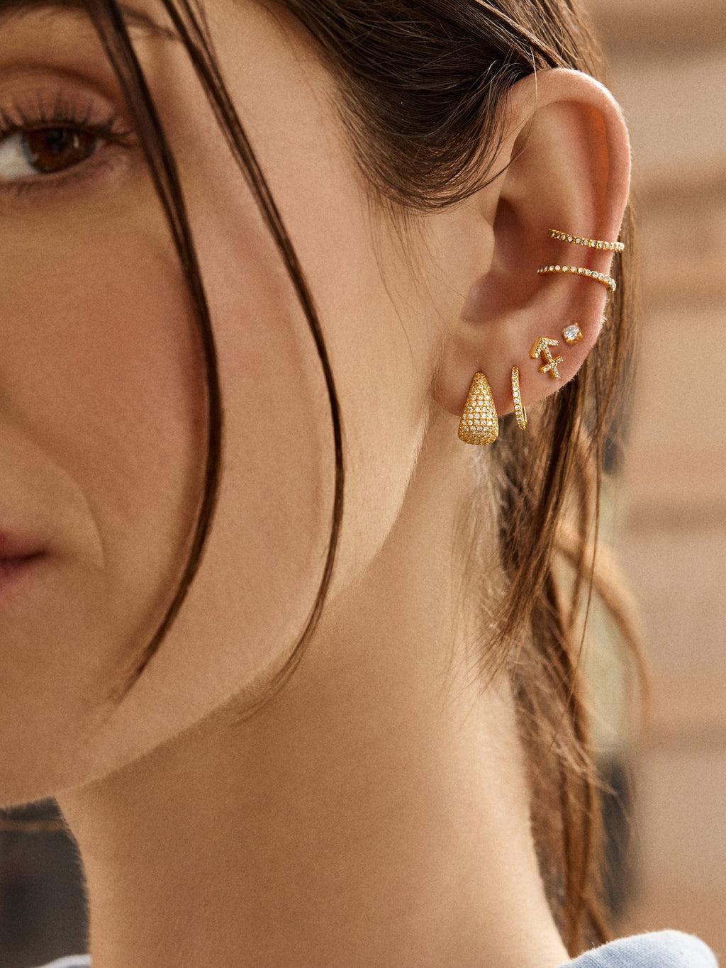 18K Gold Zodiac Earrings - 18K Gold. Pavé Cubic Zirconia Stones